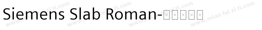 Siemens Slab Roman字体转换